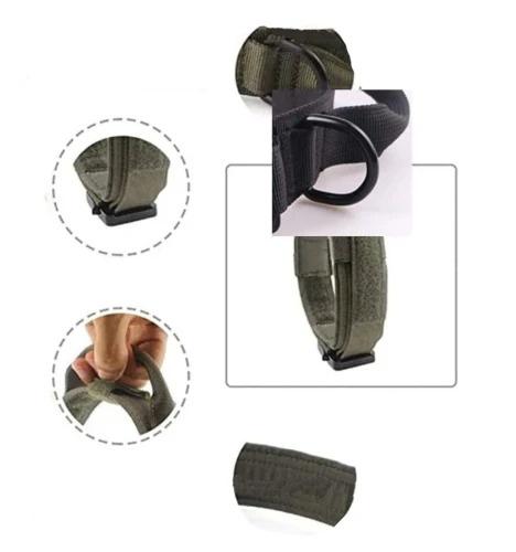 Suņu kakla siksna G11 zaļa