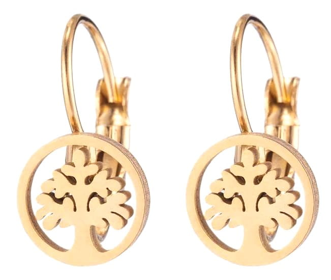 Auskari sievietēm B11