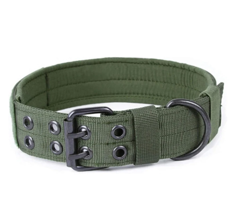 Regulējama suņu kakla siksna XL C2, zaļa N232