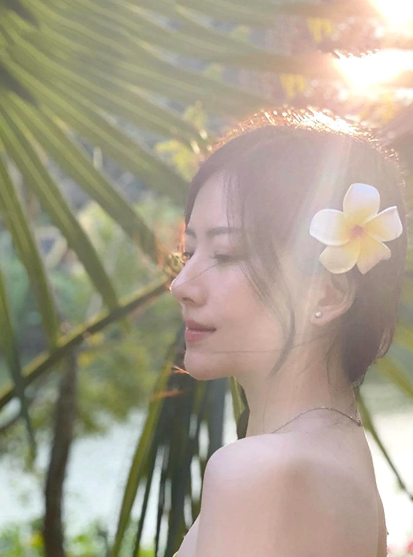 matu sprādžu komplekts, 2 gab. P2