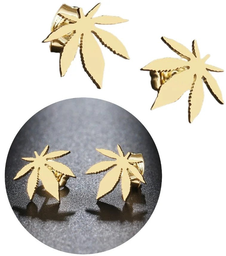 Auskari sievietēm C58 N77