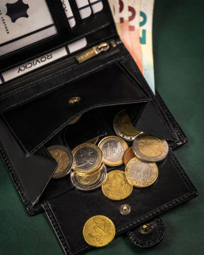 Vīriešu ādas maks Rovicky RV134 S387