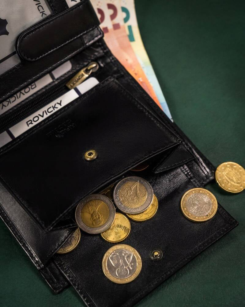 Vīriešu ādas maks Rovicky RV137 S384