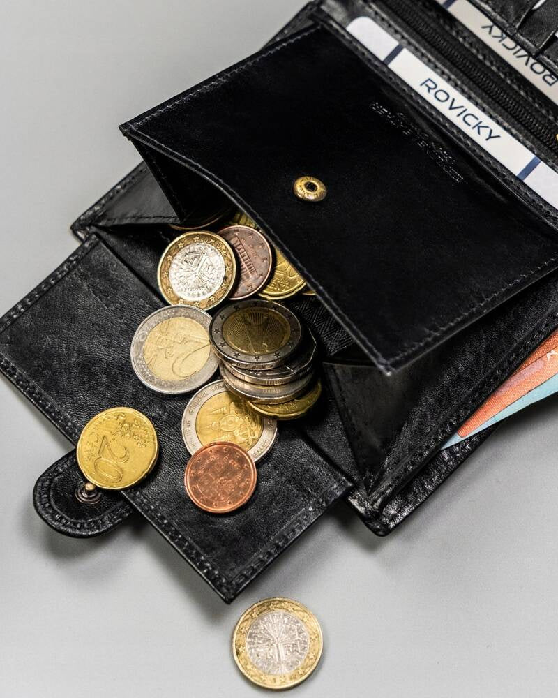 Vīriešu ādas maks Rovicky RV154 S365