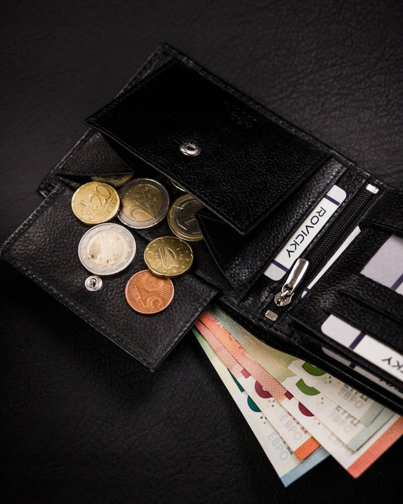 Vīriešu ādas maks Rovicky RV231 S285