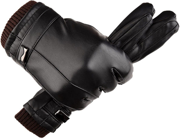 Vīriešu ziemas cimdi K49