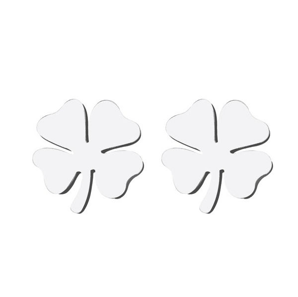 Sieviešu auskari A59, sudraba krāsā