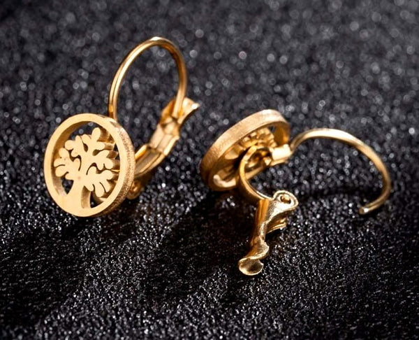 Auskari sievietēm B11