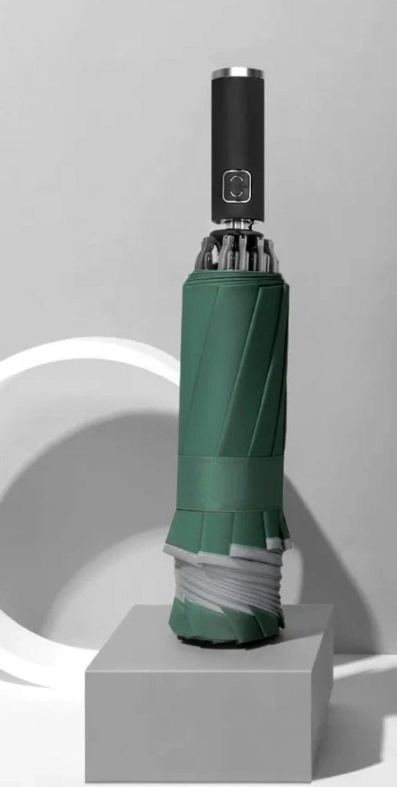 Automātiskais lietussargs DF102 zaļš