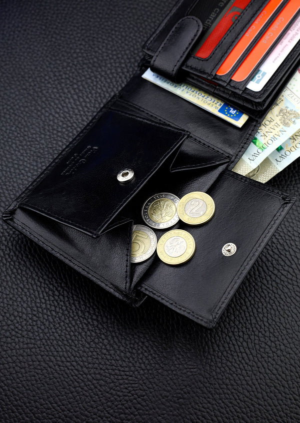 Vīriešu maks Pierre Cardin, ādas, ar RFID aizsardzību 423206 