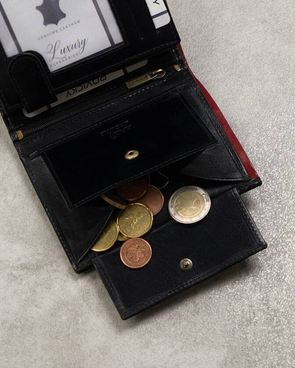 Vīriešu ādas maks Rovicky RV104 N272