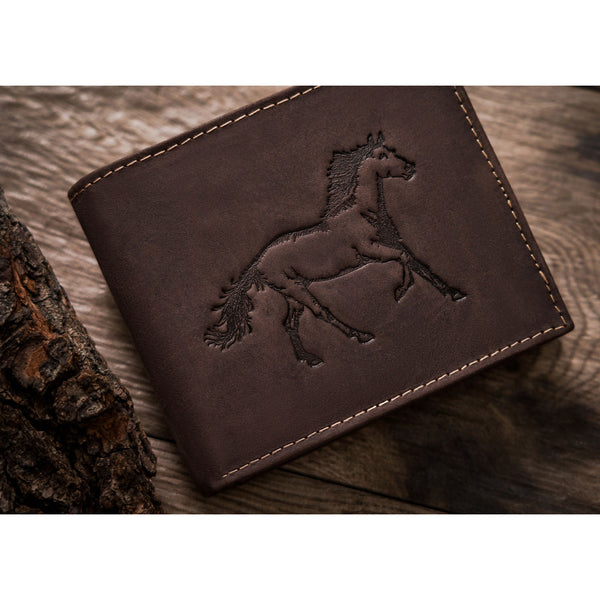 Liels vīriešu maks Always Wild, brūns N450