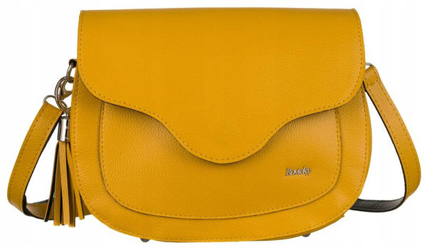 Sieviešu rokassoma Rovicky J64 R143