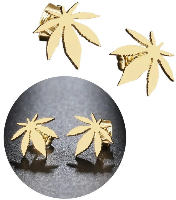 Auskari sievietēm C58 N77