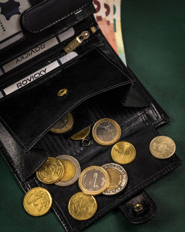 Vīriešu ādas maks Rovicky RV133 S388