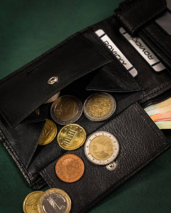 Vīriešu ādas maks Rovicky RV177 S341