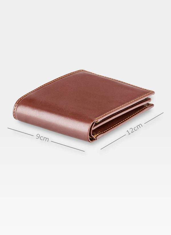 Vīriešu maks Visconti P8, brūns S42
